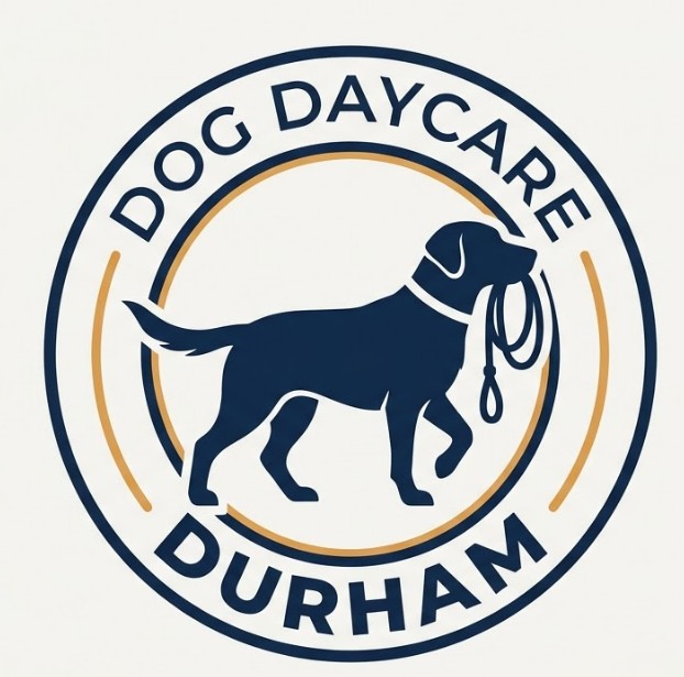 Durham, NC Dog Day Care Center Guide