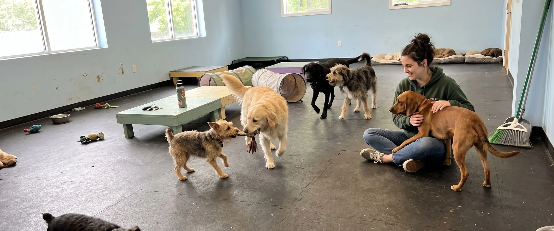 Cage-Free / Open Play in Durham, NC