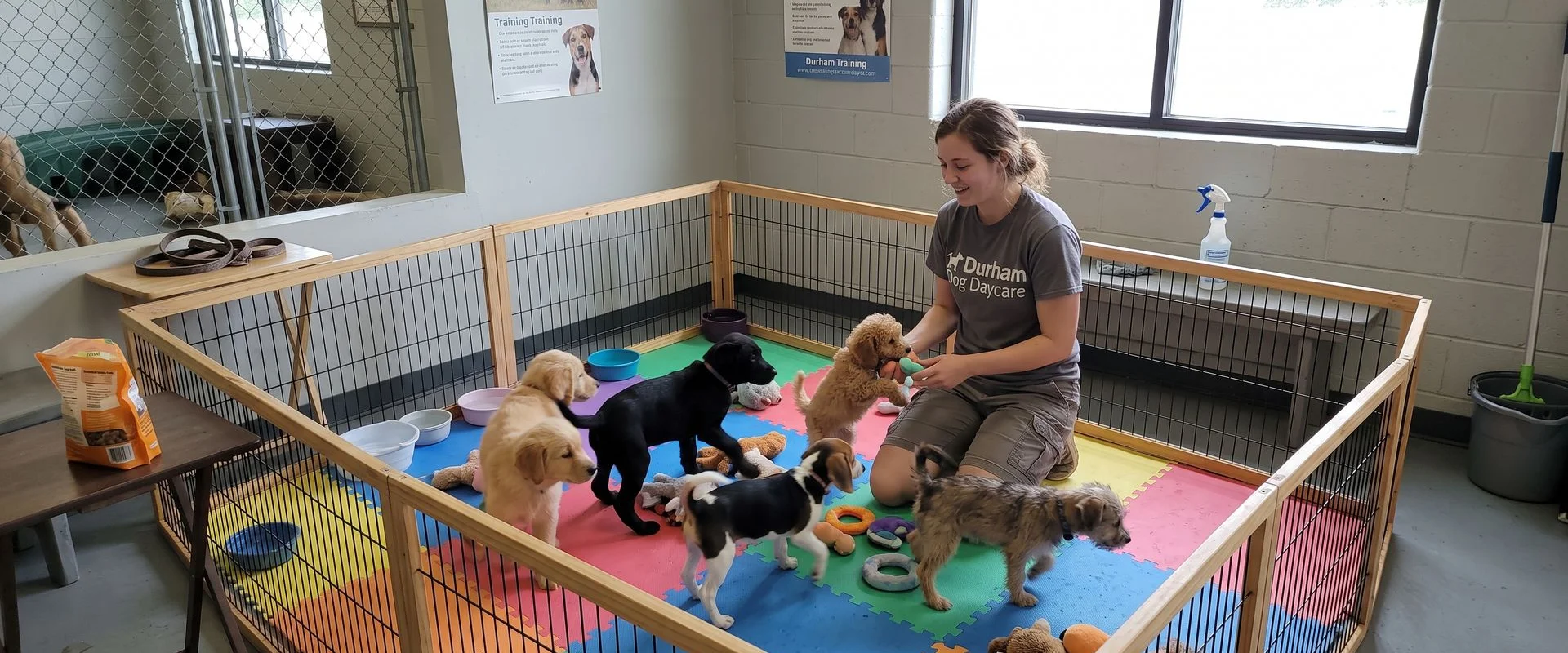 Puppy Programs in Durham, NC