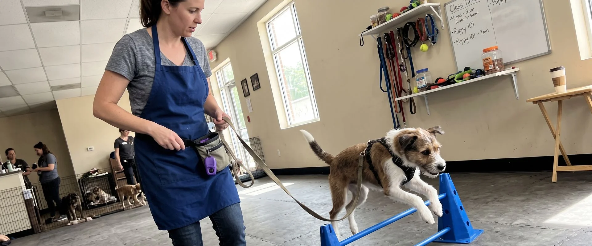 Training Programs in Durham, NC