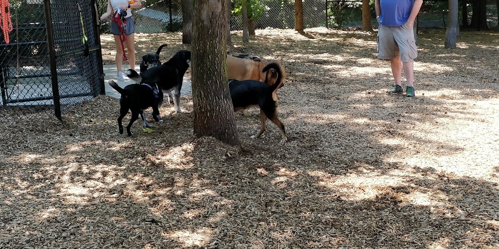 Cary Dog Park at Godbold Park (pass required)