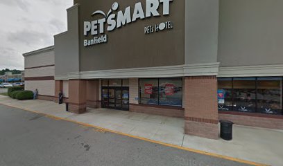 PetSmart Doggie Day Camp
