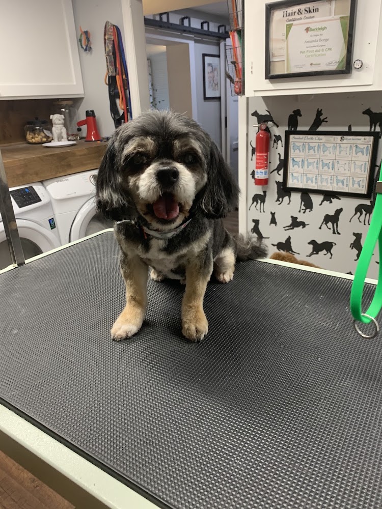 Mosa Pet Spa & Resort