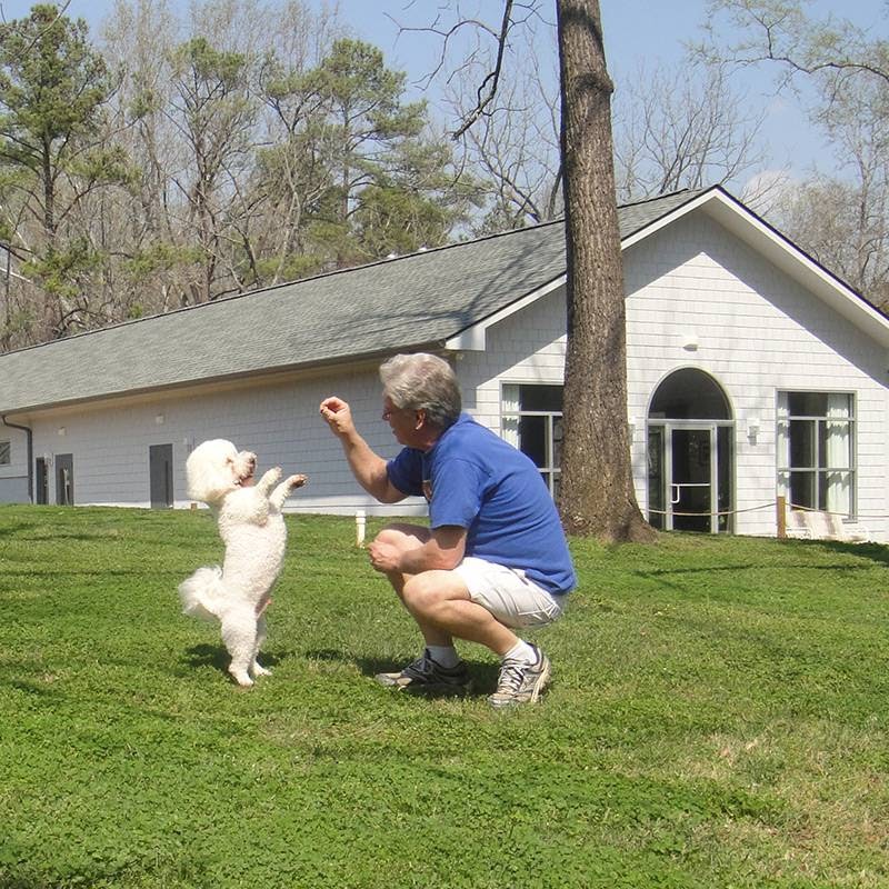 New Hope Dog Training Center