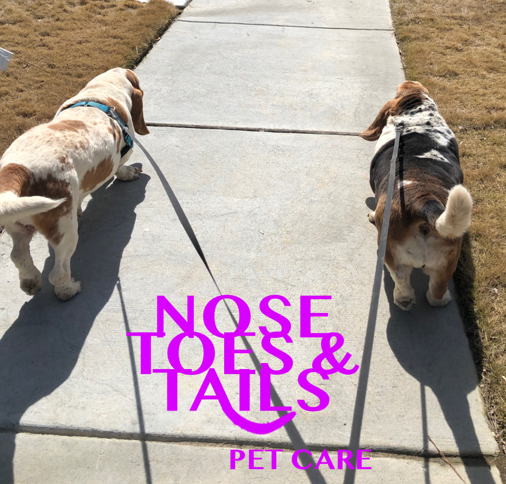 Nose, Toes & Tails Pet Care, LLC