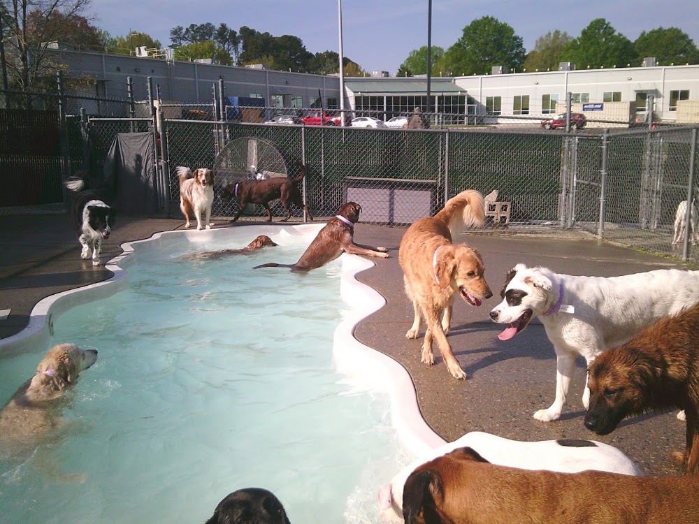 Suite Paws Pet Resort & Spa Raleigh