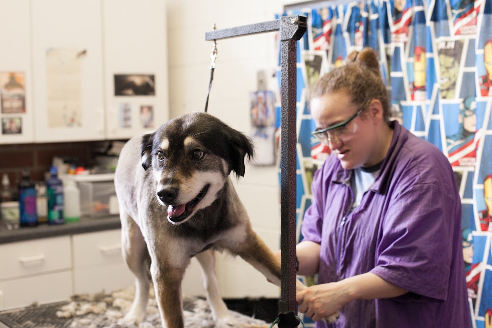 Love Overboard Kennels & Grooming