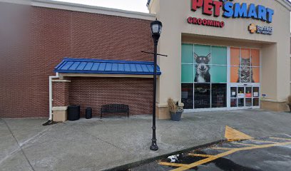 PetSmart Dog Training
