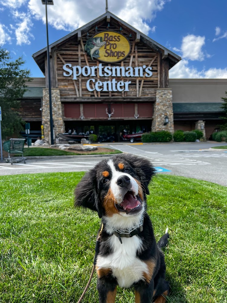 Cornerstone K9