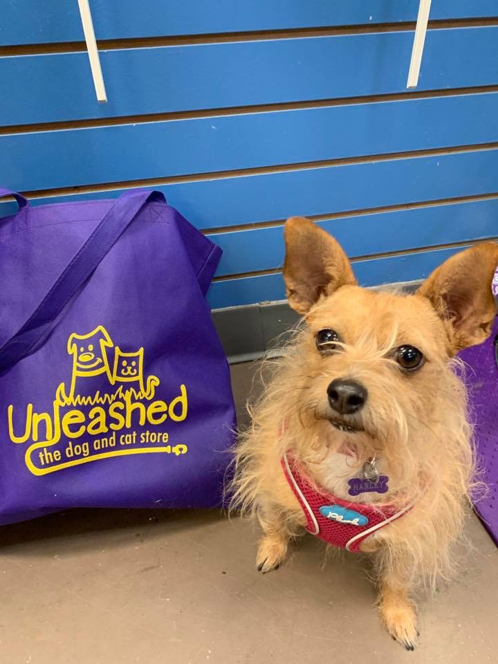 Unleashed, the Dog & Cat Store- Cary