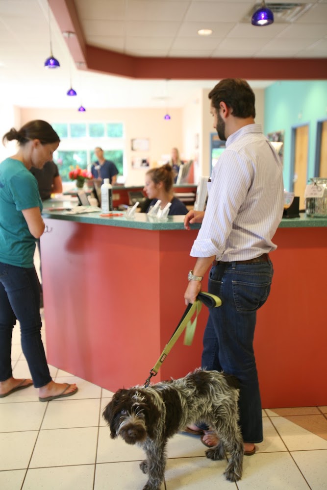 Dogwood Veterinary Hospital & Pet Resort