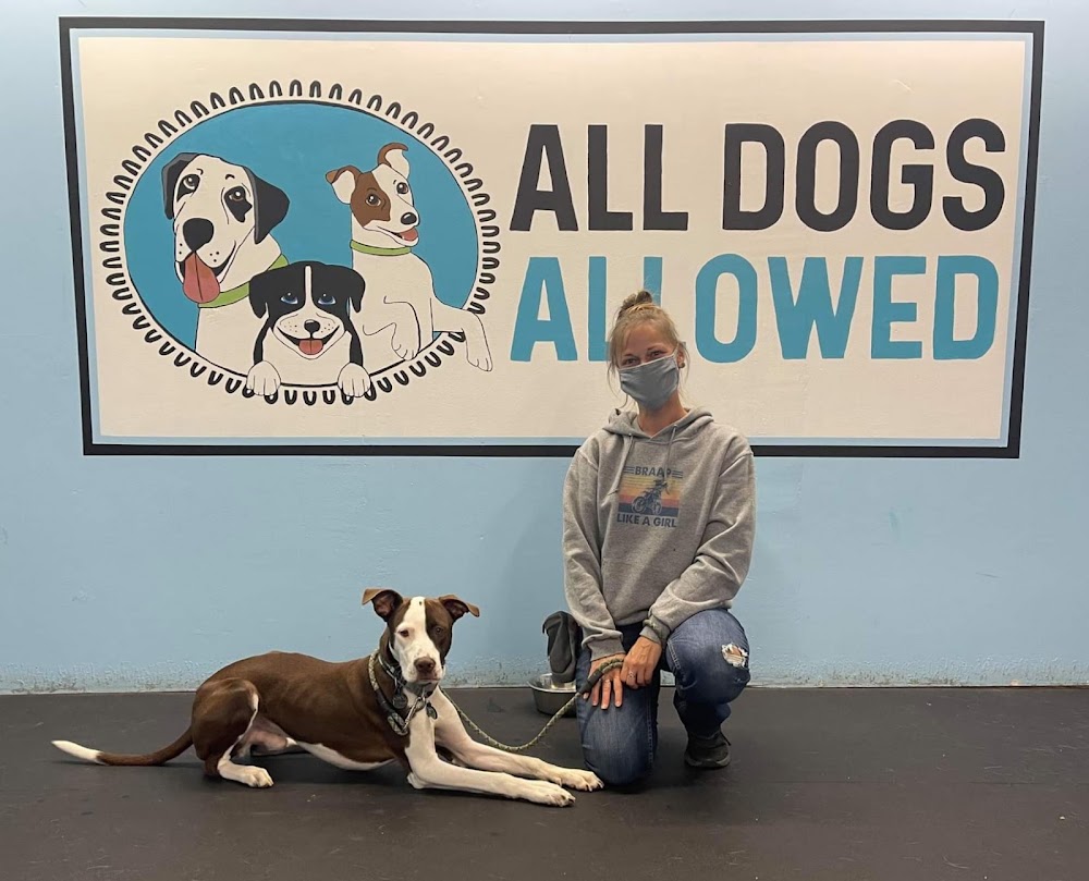All Dogs Allowed