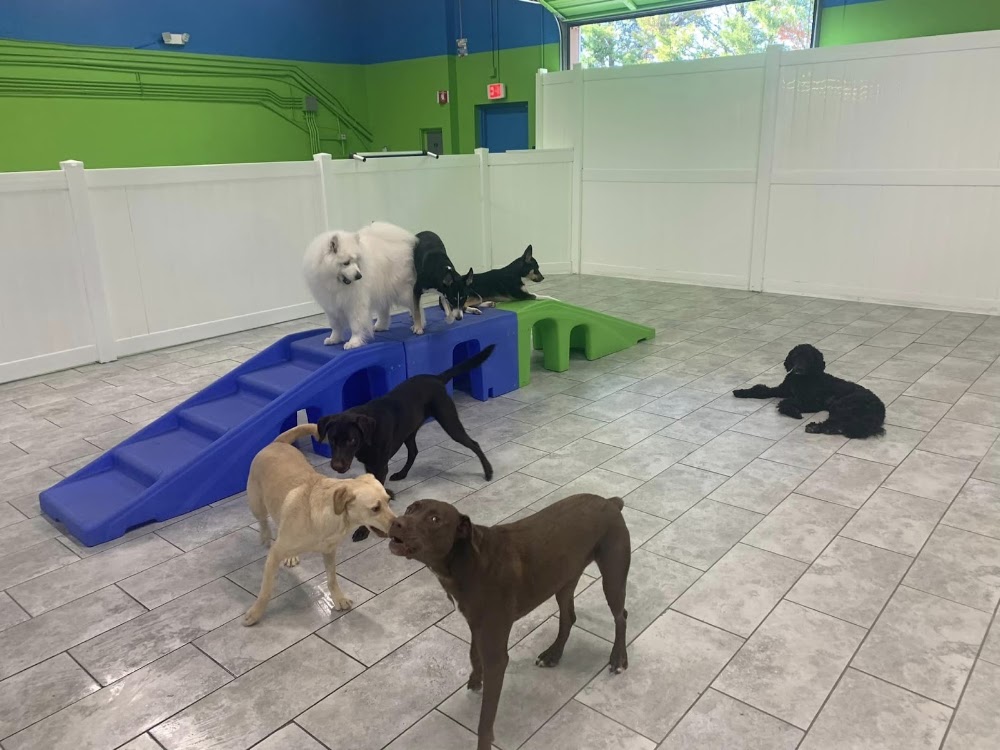 Hounds Town - Morrisville
