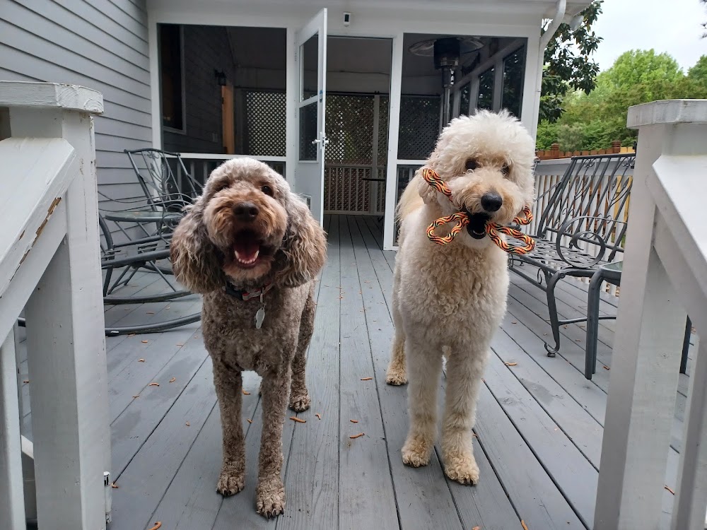 Other People's Pooches