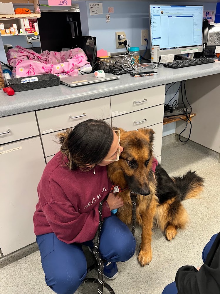 VCA Parkway Animal Hospital