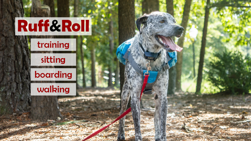 Ruff and Roll