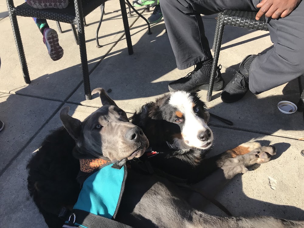 Dog Academy of NC, LLC
