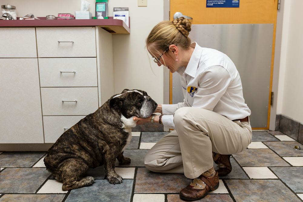Care First Animal Hospital at Tryon