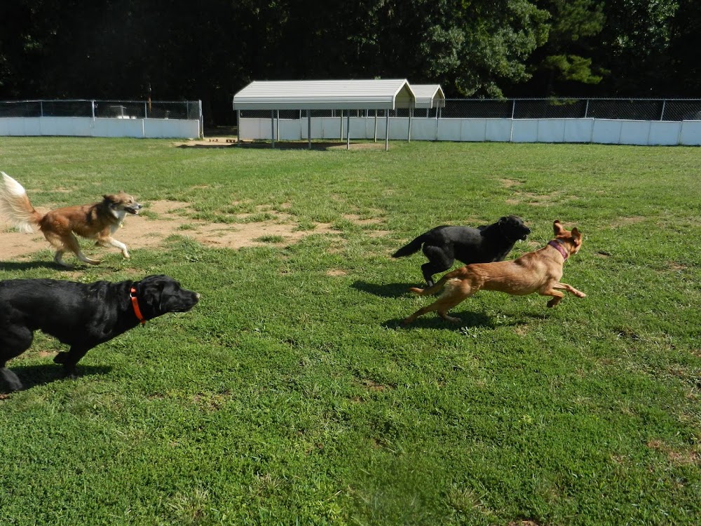 Sunny Acres Pet Resort