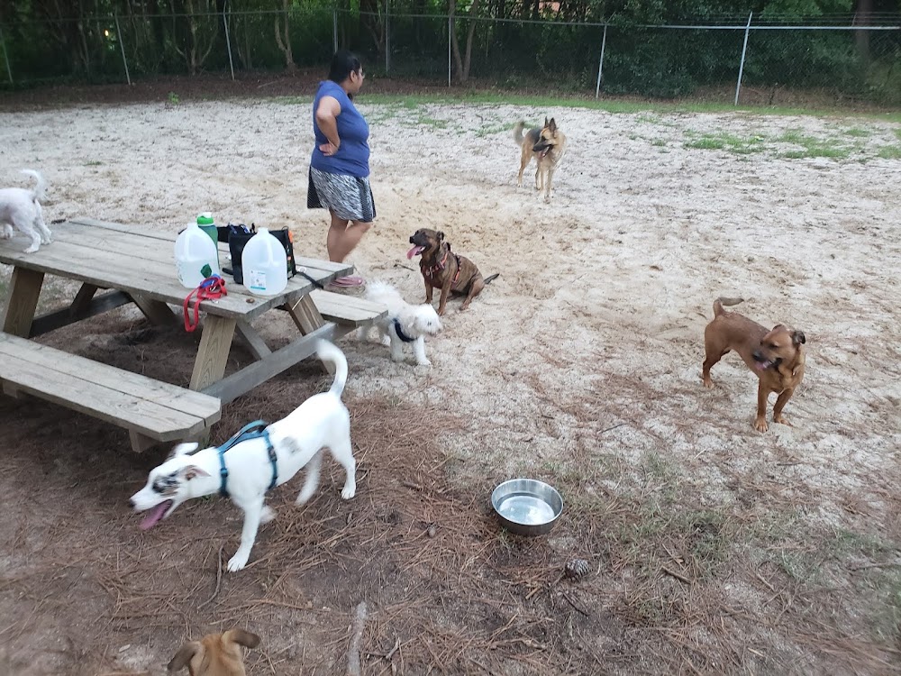 Kensington Park Dog Club