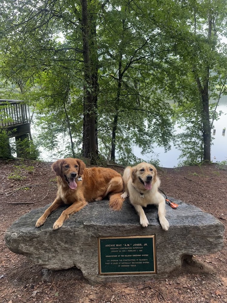 Off Leash K9 - Raleigh Durham