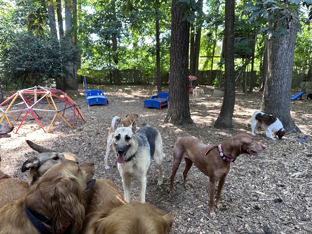 Dawg Dayz Retreat