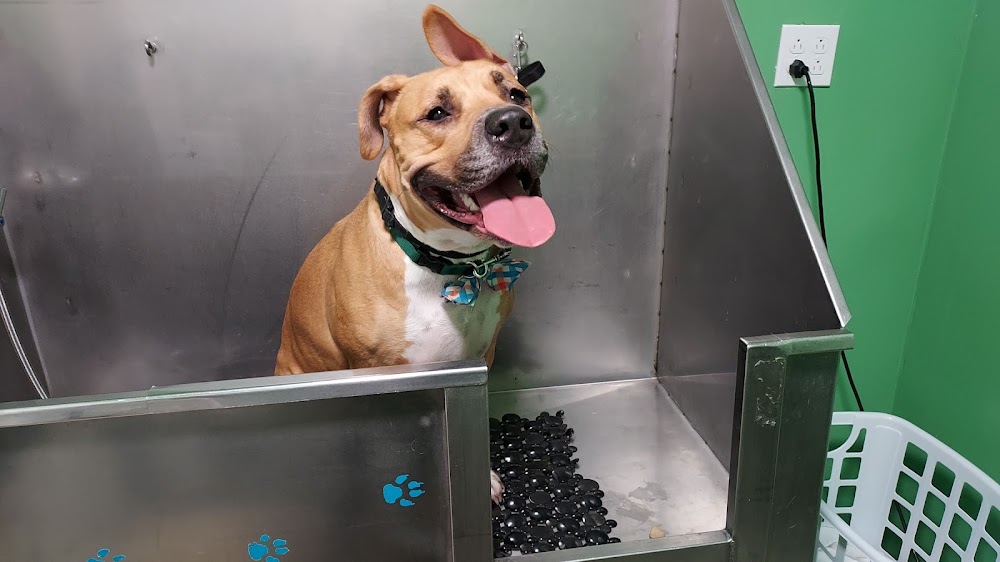 Unleashed, The Dog & Cat Store of Durham