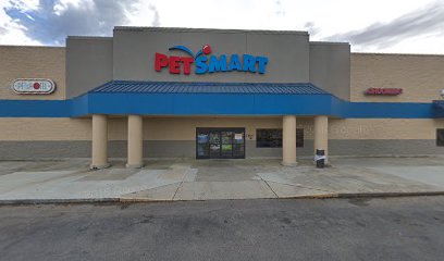 PetSmart Doggie Day Camp