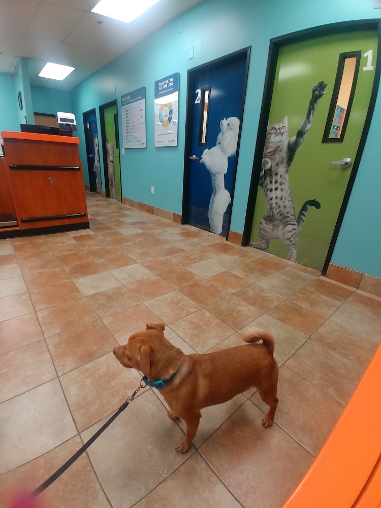 PetSmart